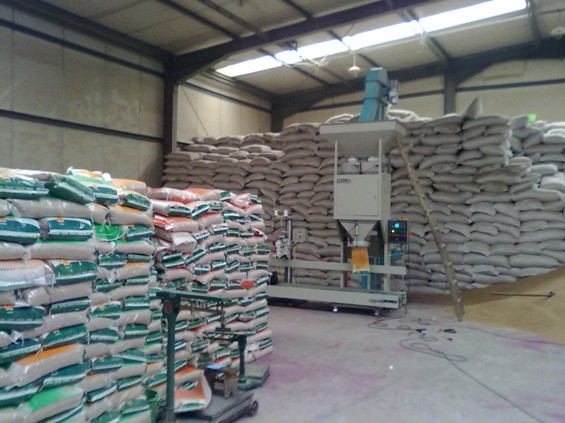 大米包裝現(xiàn)場(chǎng)